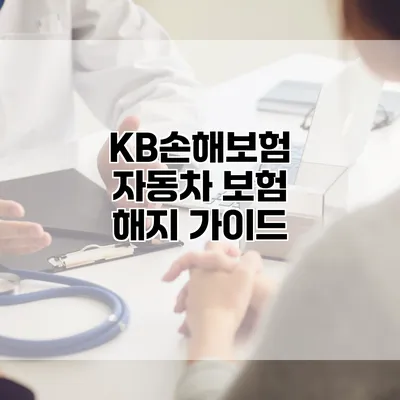KB손해보험 자동차 보험 해지 가이드