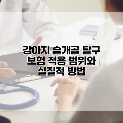 강아지 슬개골 탈구 보험 적용 범위와 실질적 방법