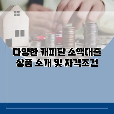 다양한 캐피탈 소액대출 상품 소개 및 자격조건