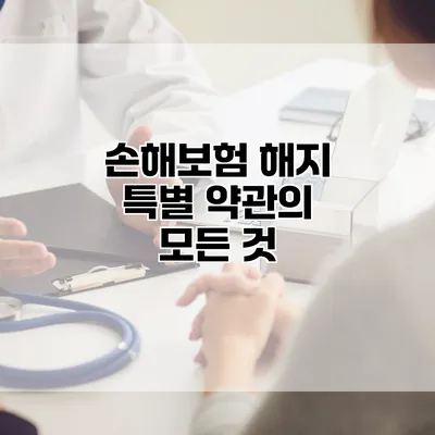 손해보험 해지 특별 약관의 모든 것