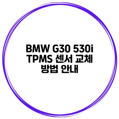 BMW G30 530i TPMS 센서 교체 방법 안내