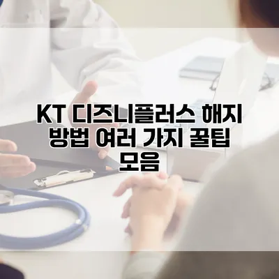 KT 디즈니플러스 해지 방법: 여러 가지 꿀팁 모음