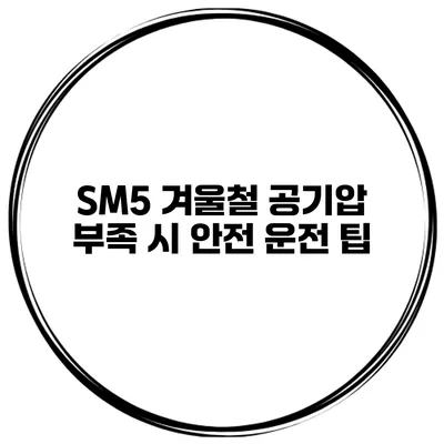 SM5 겨울철 공기압 부족 시 안전 운전 팁