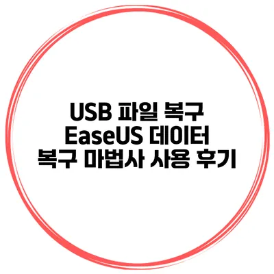 USB 파일 복구 EaseUS 데이터 복구 마법사 사용 후기
